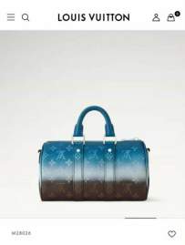 Picture of Louis Vuitton Handbags _SKUfw233562089fw